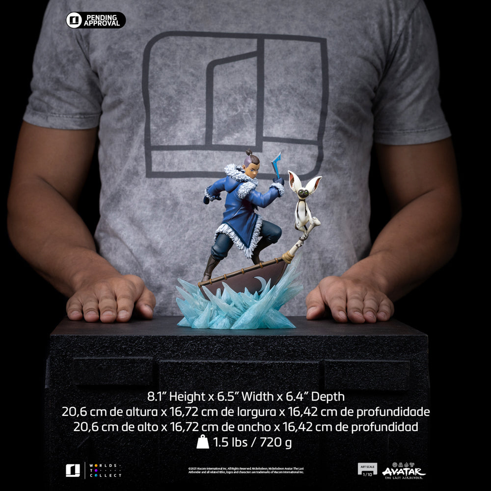 Pre-Order - Statue Sokka - Avatar: The Last Airbender - Art Scale 1/10 - Iron Studios