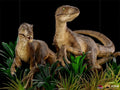 Statue Just The Two Raptors Deluxe - Jurassic Park - Art Scale 1/10 - Iron Studios