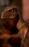 Statue Velociraptor - Jurassic Park - Art Scale 1/10 - Iron Studios