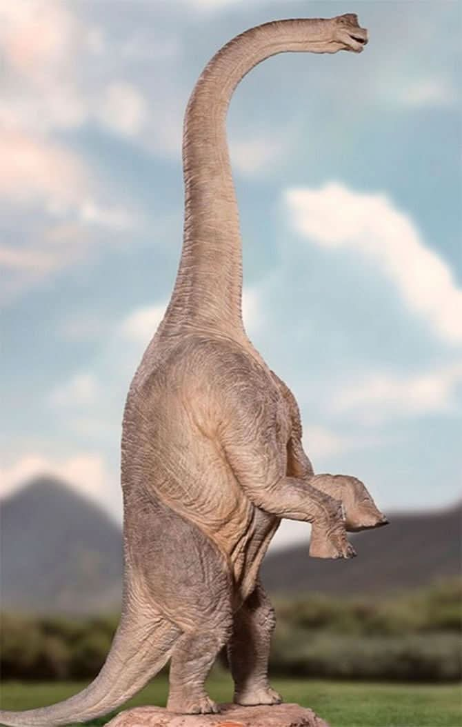 Statue Brachiosaurus - Jurassic Park - Demi Scale 1/20 - Iron Studios